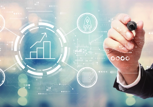 The IT Services arm of an MNC required functional consultancy 